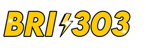 Bri303